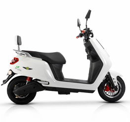 三雅UE与SY8电动摩托车 官网车型解读与选购指南